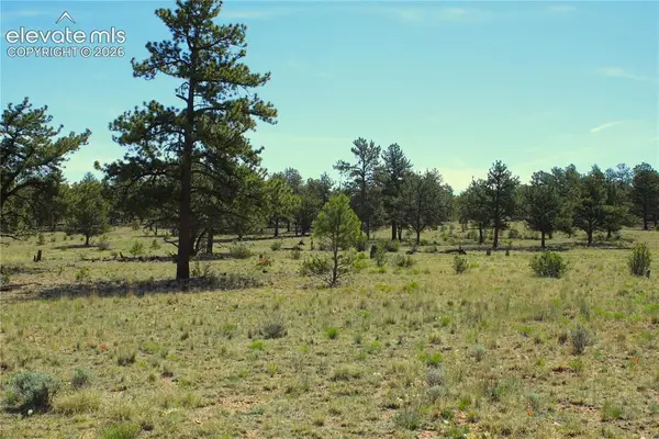 31572 Highway 9, Fairplay, CO 80449