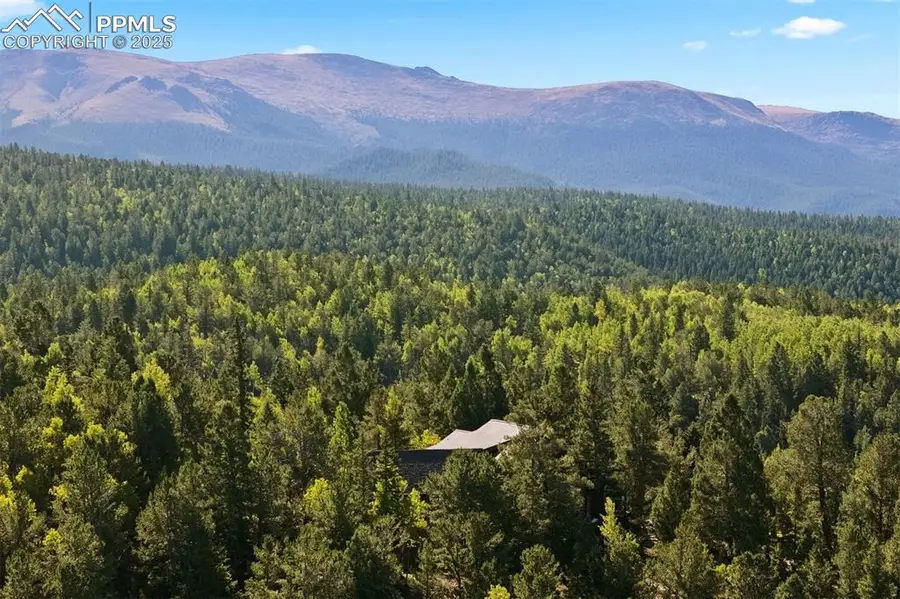 1010 Cantiberry Road, Divide, CO 80814 - Image #2