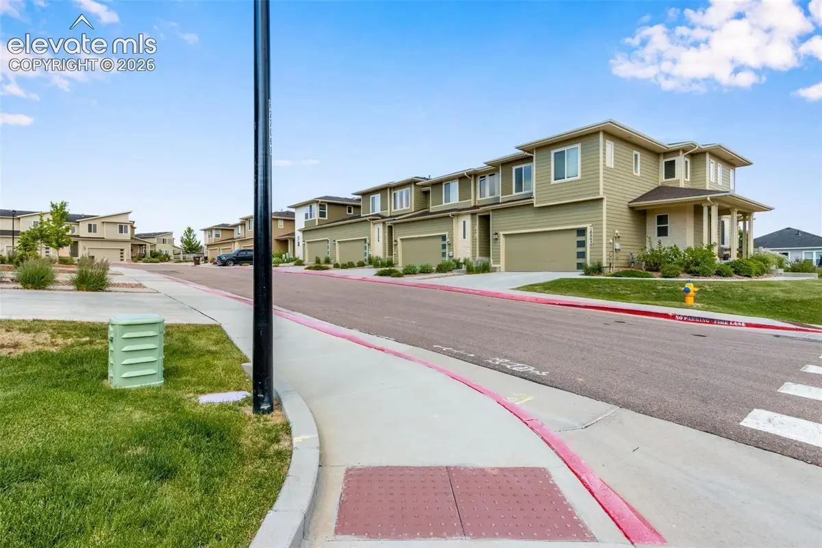 10015 Poppy Mallow Point, Colorado Springs, CO 80924 - #1