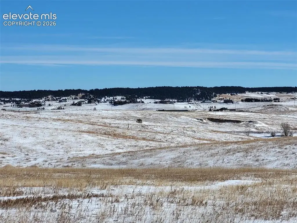 19235 Mariah Trail, Colorado Springs, CO 80908 - #1