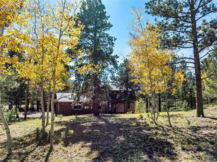 356 Spring Valley Drive, Divide, CO 80814 - Image #2