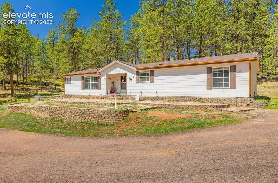 275 Mohave Creek Trail, Florissant, CO 80816 - #1