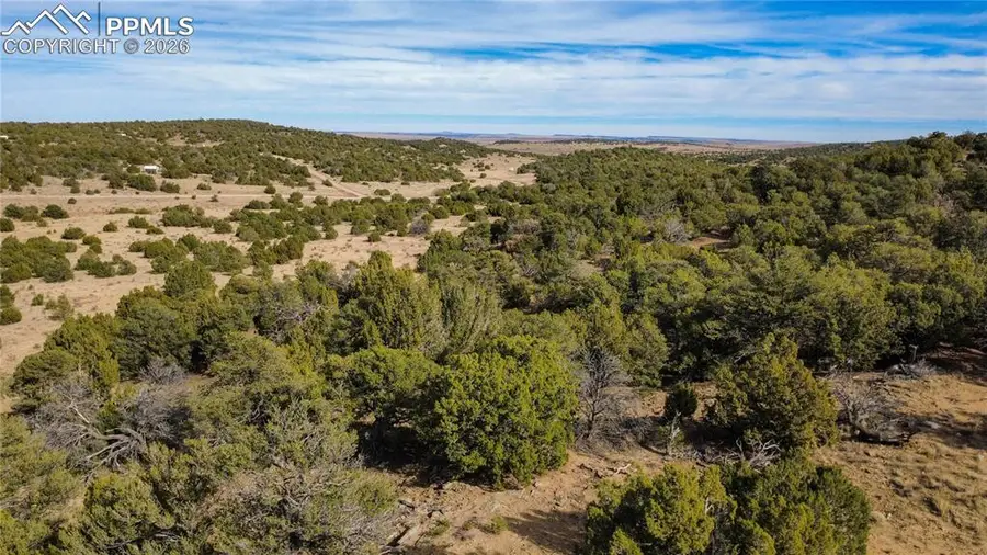 618 Pico Del Questa, Walsenburg, CO 81089 - #3