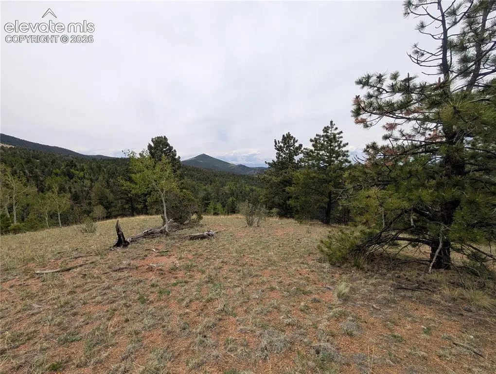 16 Princess Lane, Cripple Creek, CO 80813 - #1