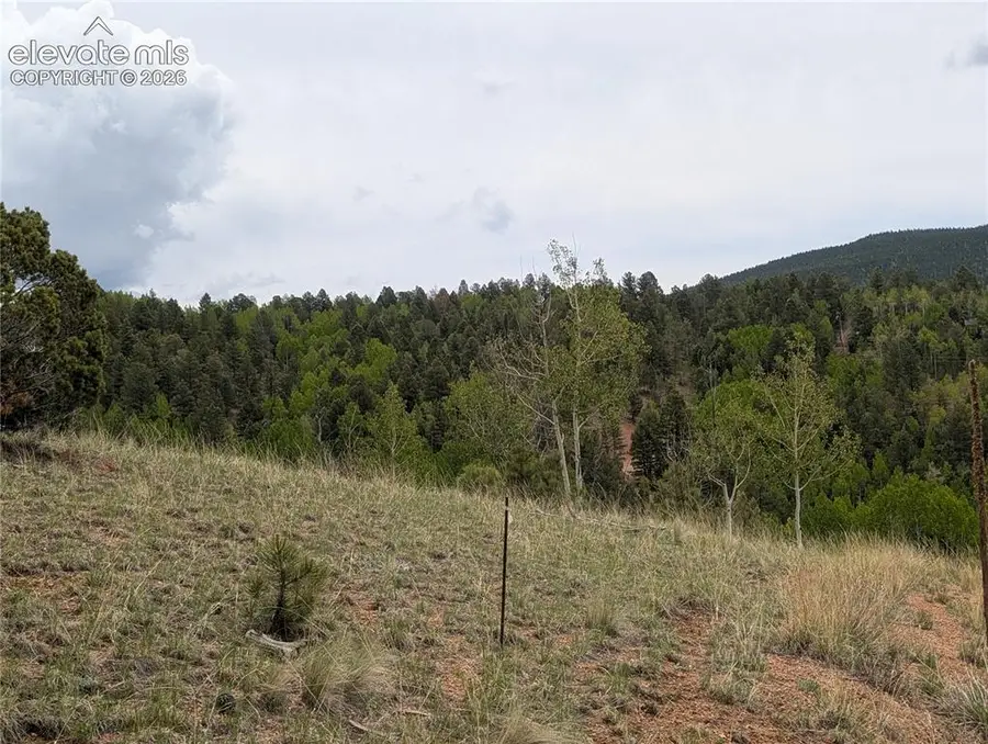 16 Princess Lane, Cripple Creek, CO 80813 - #3