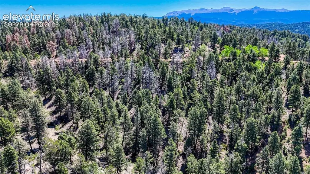3454 N Mountain Estates Road, Florissant, CO 80816 - #1