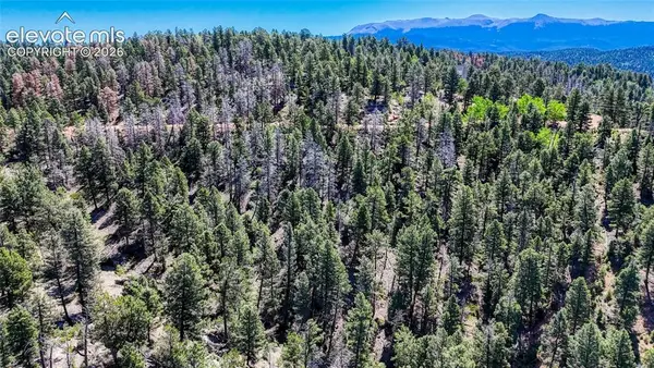 3454 N Mountain Estates Road, Florissant, CO 80816