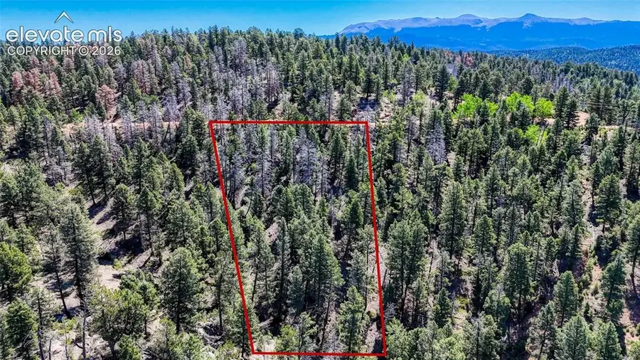 3454 N Mountain Estates Road, Florissant, CO 80816 - #2
