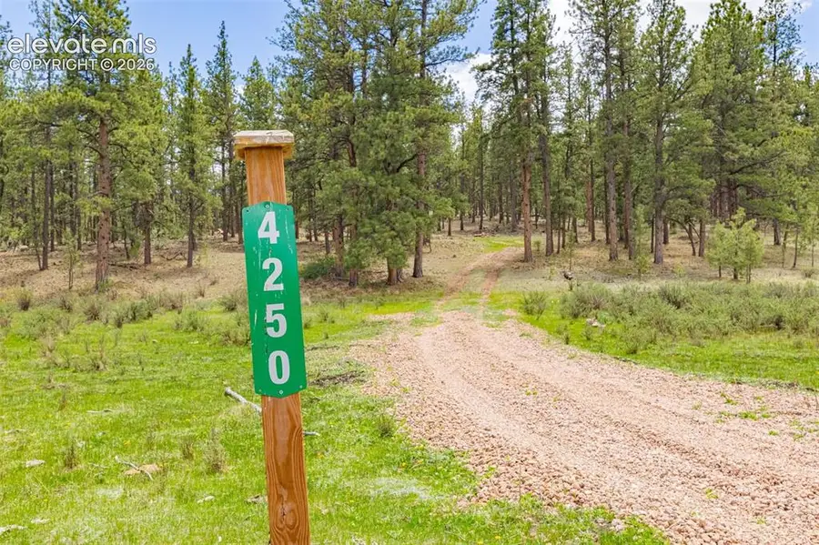 4250 Doe Valley Road, Guffey, CO 80820 - #2