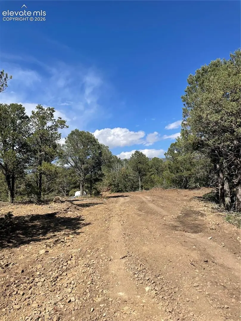 329 Fishers Peak Parkway, Trinidad, CO 81082 - #2