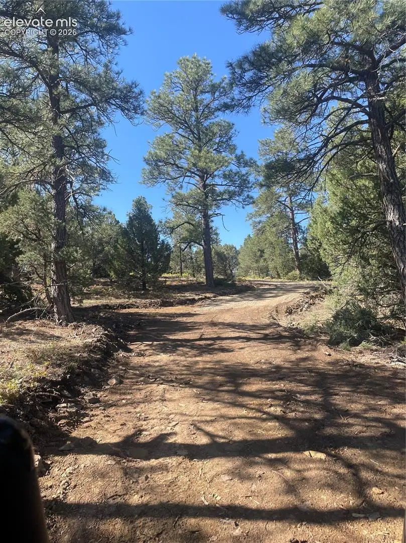 329 Fishers Peak Parkway, Trinidad, CO 81082 - #3