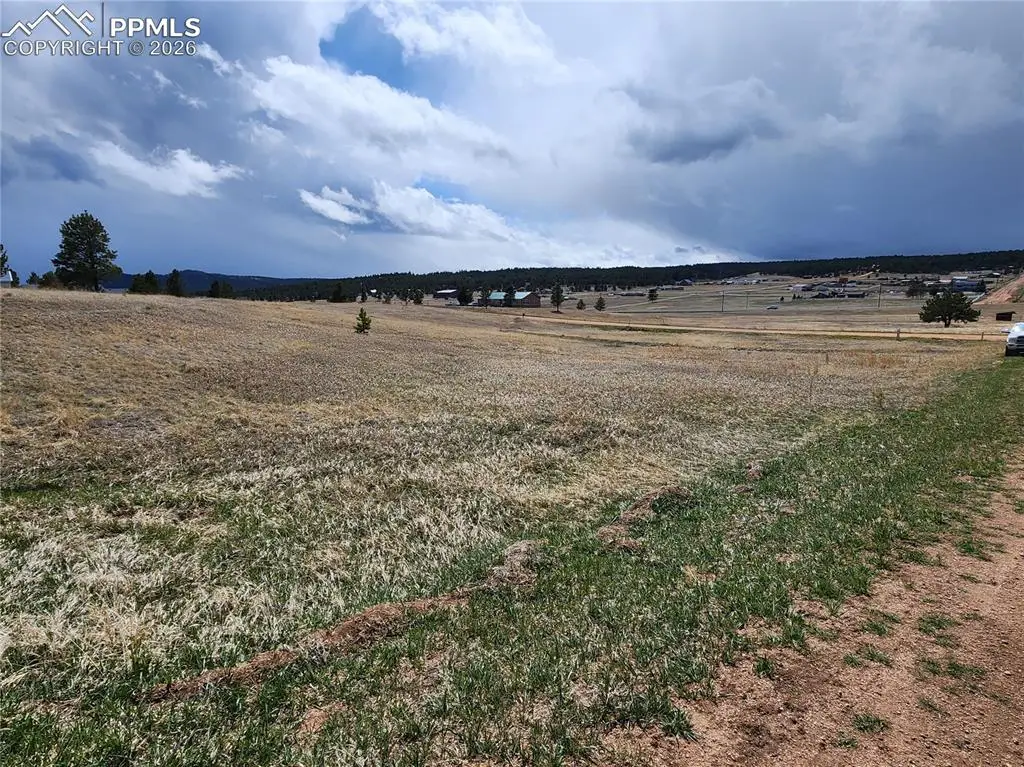 714 Empire Road, Florissant, CO 80816 - #1
