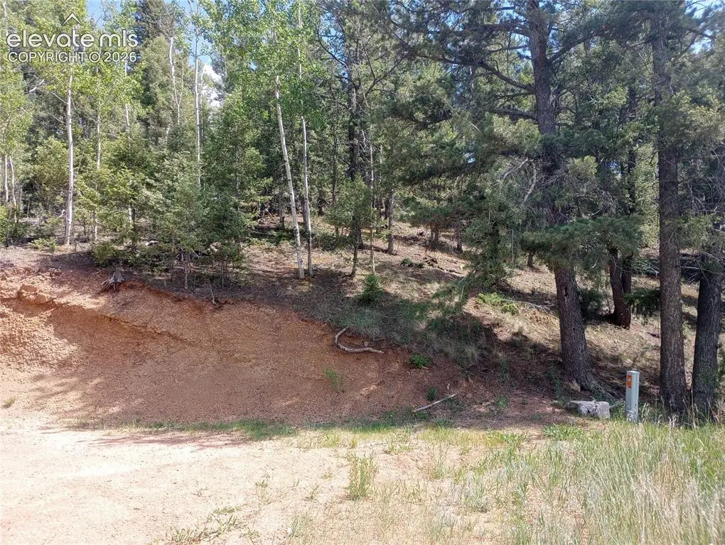 138 Glenwood Lane, Woodland Park, CO 80863 - #1