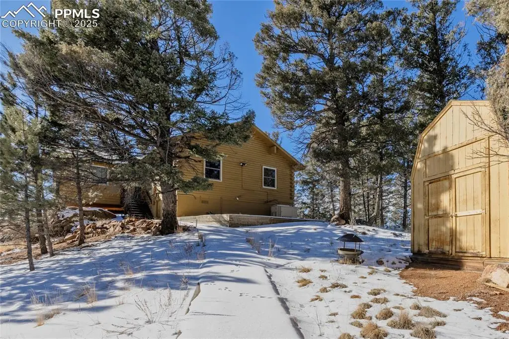 730 Cheyenne Creek Drive, Lake George, CO 80827 - #1