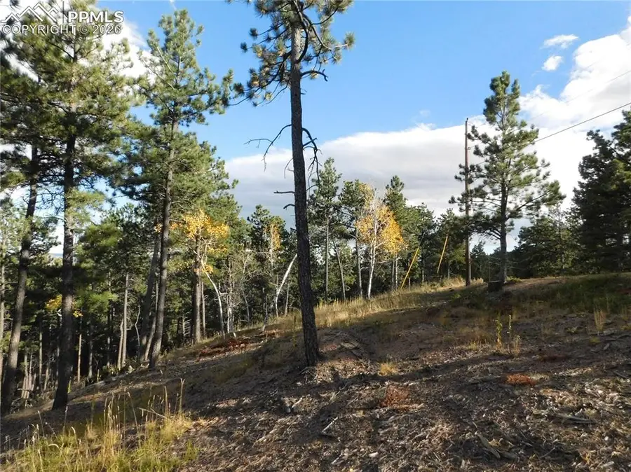 13910 Boulder Lane, Larkspur, CO 80118 - #2