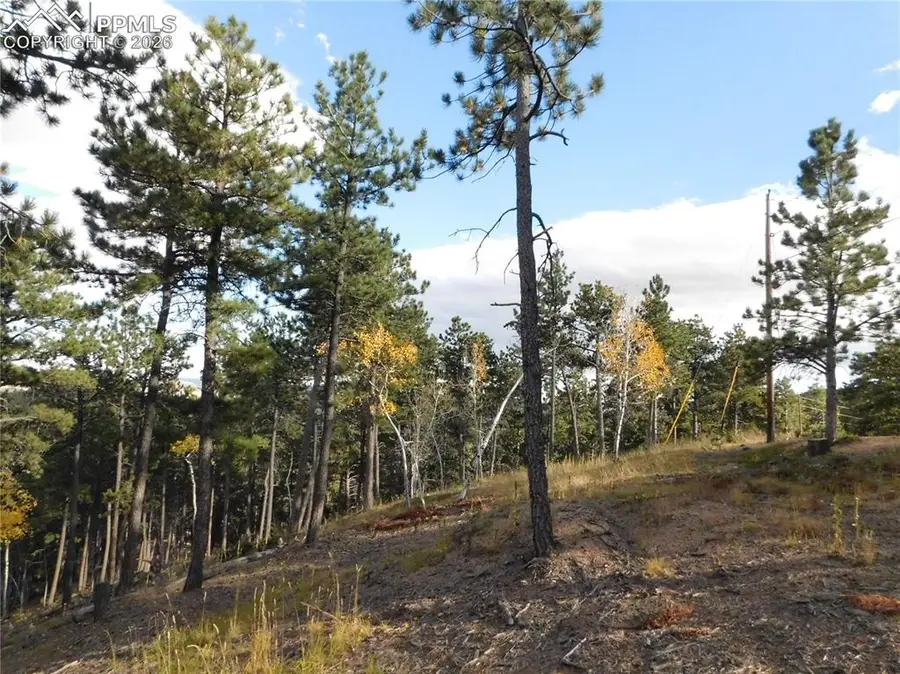 13910 Boulder Lane, Larkspur, CO 80118 - #3