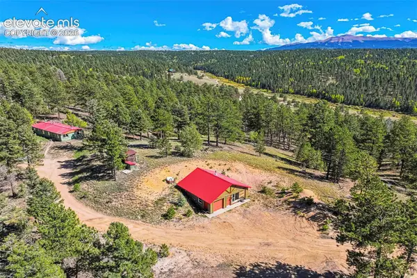 176 Chalk Circle Trail, Florissant, CO 80816