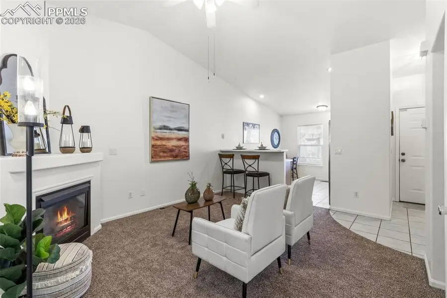 5502 Sunshade Point, Colorado Springs, CO 80923 - #3