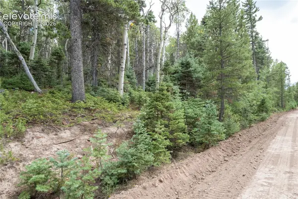 Lot 2660 Speciale Place, Fort Garland, CO 81133