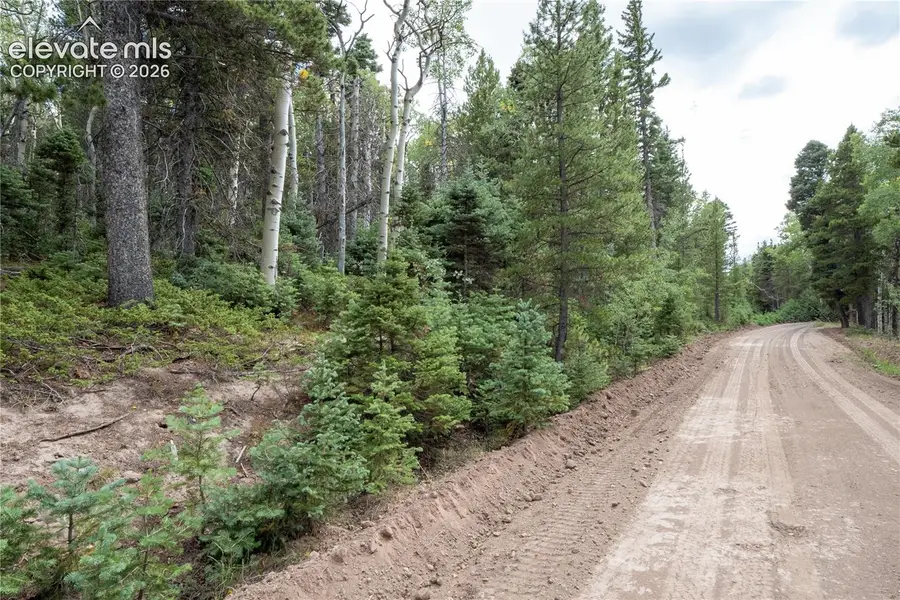 Lot 2660 Speciale Place, Fort Garland, CO 81133 - #2