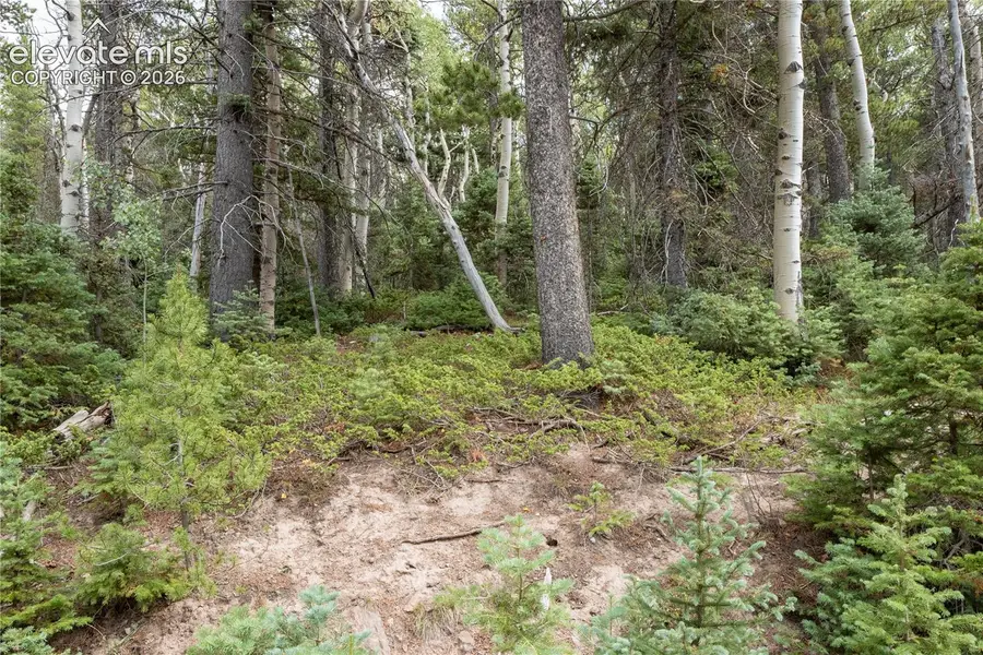 Lot 2660 Speciale Place, Fort Garland, CO 81133 - #3