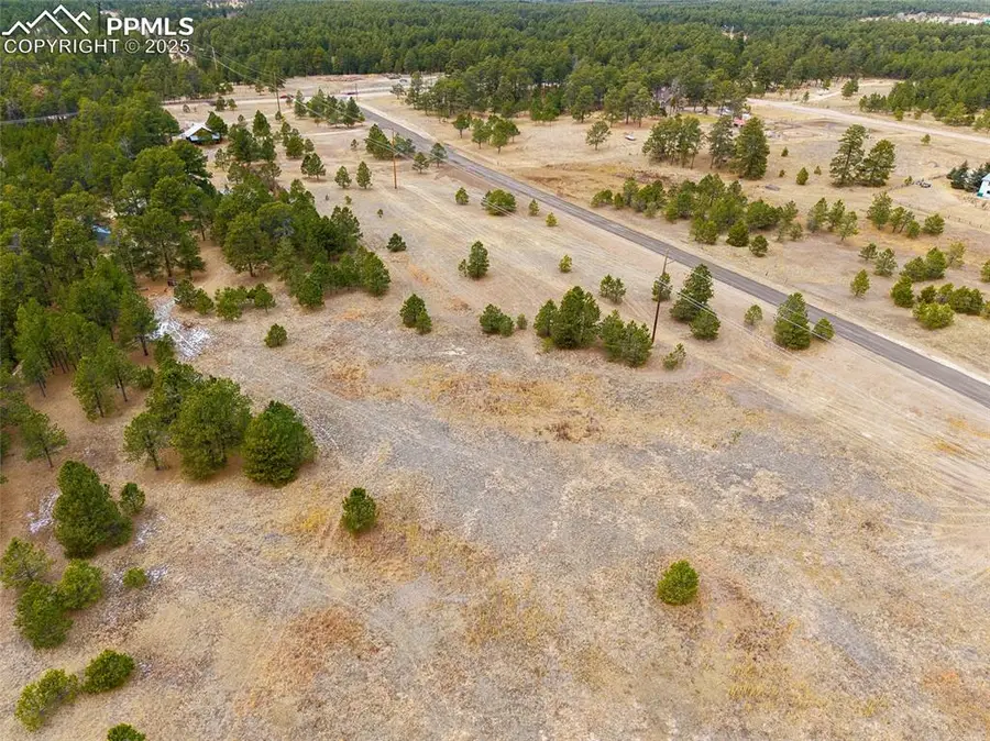 12015 Grandin Point, Black Forest Peyton, CO 80016 - Image #3