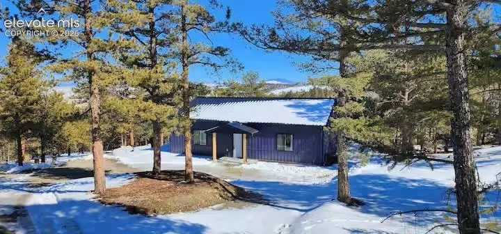 1173 Bellows Road, Hartsel, CO 80449 - #1