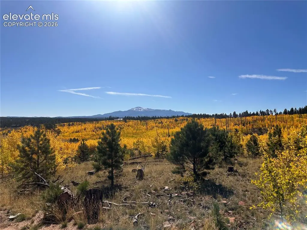 Unit 2 County Road 51, Florissant, CO 80816 - #1