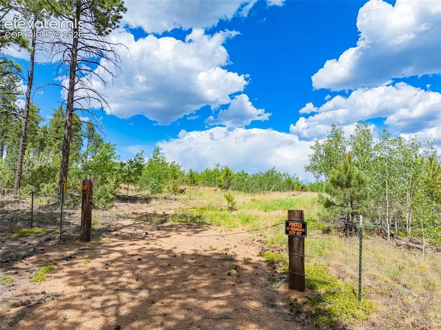 Unit 2 County Road 51, Florissant, CO 80816 - #2
