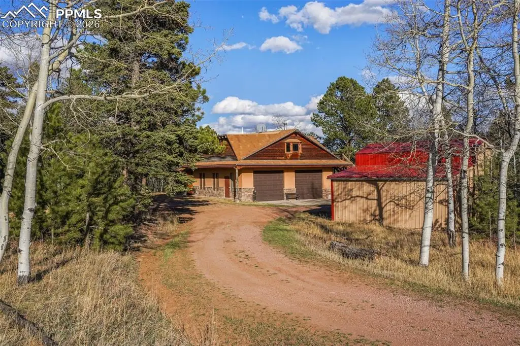 310 Ridge Road, Divide, CO 80814 - #1