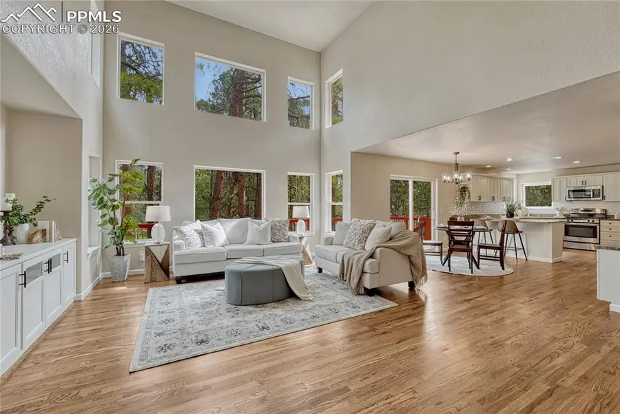 19825 Soaring Wing Drive, Colorado Springs, CO 80908 - #2