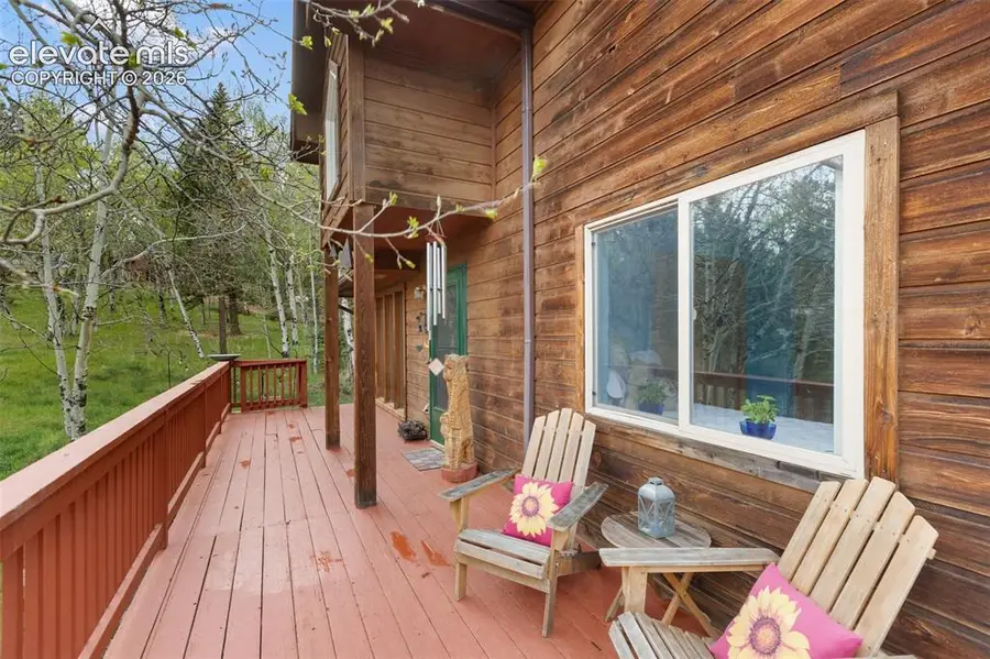 996 Spring Valley Drive, Divide, CO 80814 - #3