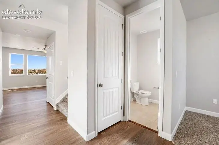 7201 Alpine Daisy Drive, Colorado Springs, CO 80925 - #2