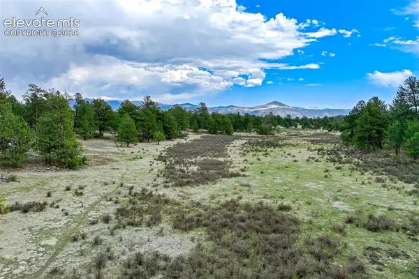Tract 103 Doe Valley Road, Guffey, CO 80820