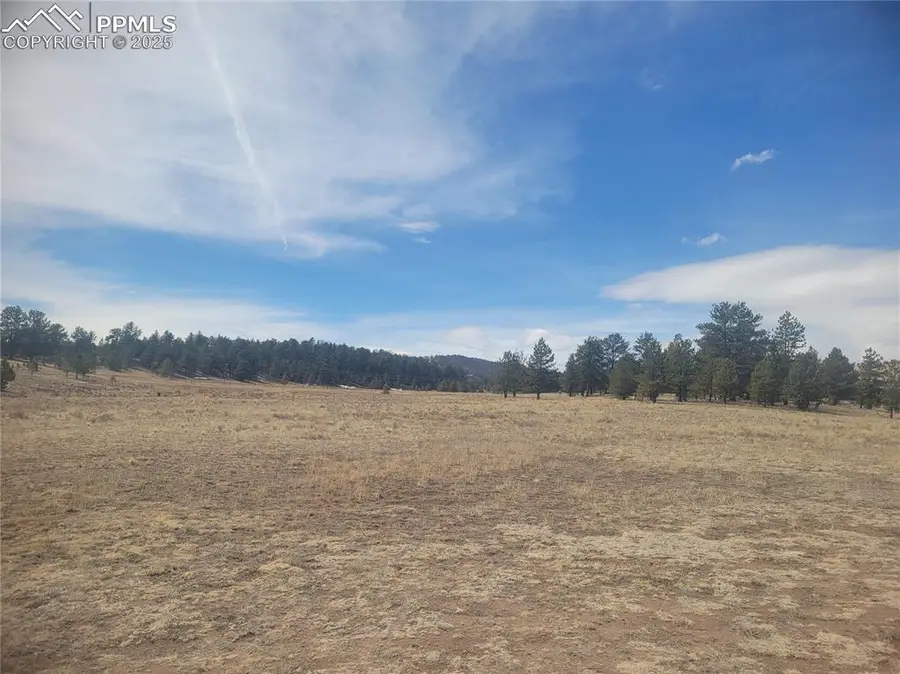 2450 Antelope Lane, Guffey, CO 80820 - Image #3