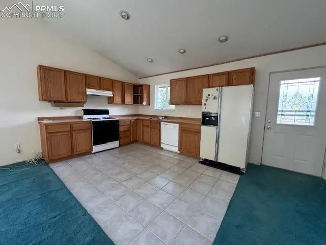 523 Spruce Lake Drive, Divide, CO 80814 - Image #2