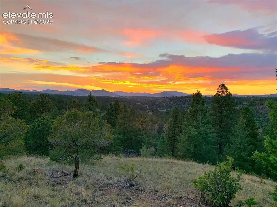 986 Apache Road, Florissant, CO 80816 - #3
