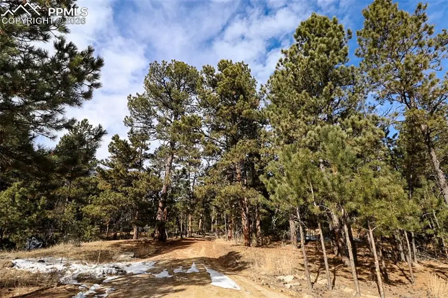 20155 Saddle Blanket Lane, Peyton, CO 80831 - Image #3