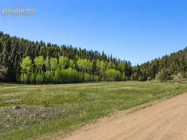 Lot 1 County Road 358, Westcliffe, CO 81252
