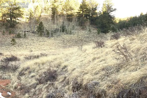 637 Valley Road, Divide, CO 80814