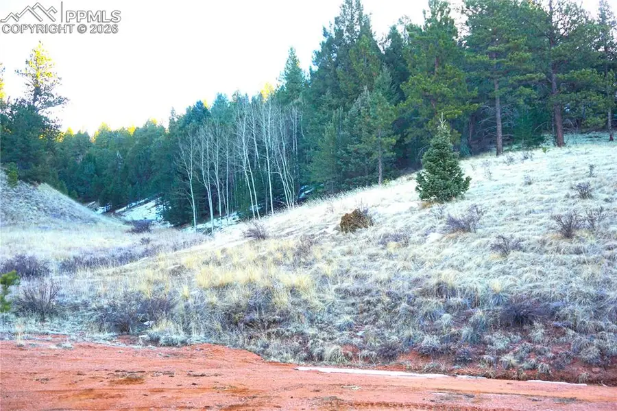 637 Valley Road, Divide, CO 80814 - Image #3