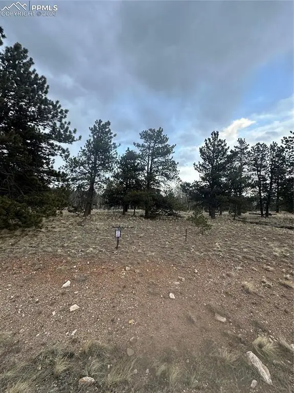 72 Sulky Court, Hartsel, CO 80449