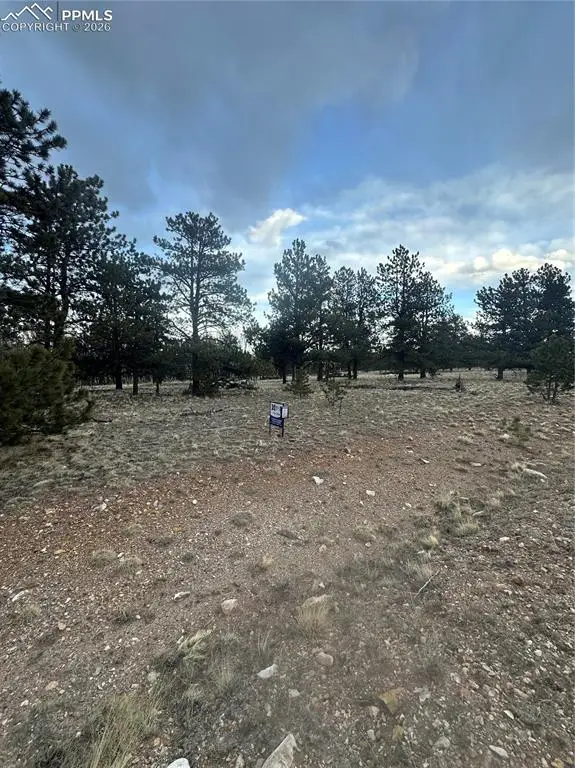 72 Sulky Court, Hartsel, CO 80449 - #2