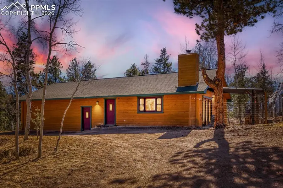 140 Wrangler Creek Circle, Florissant, CO 80816 - #3