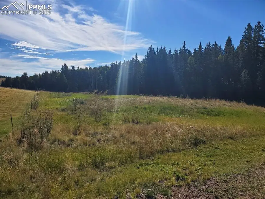 309 Pinaceae Heights, Divide, CO 80814 - #3