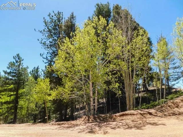 51 Mariposa Drive, Cripple Creek, CO 80813 - #2
