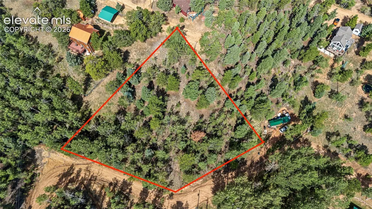 356 Wakanda Trail, Woodland Park, CO 80863 - #1