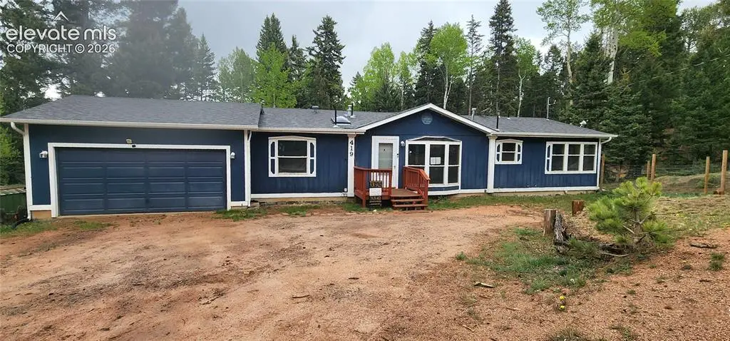 419 Donzi Trail, Florissant, CO 80816 - #1
