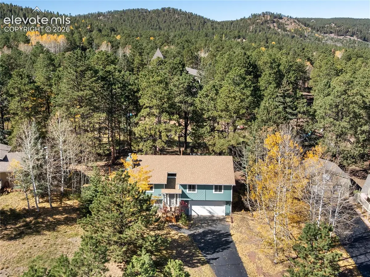 750 W Northwoods Drive, Woodland Park, CO 80863 - #1