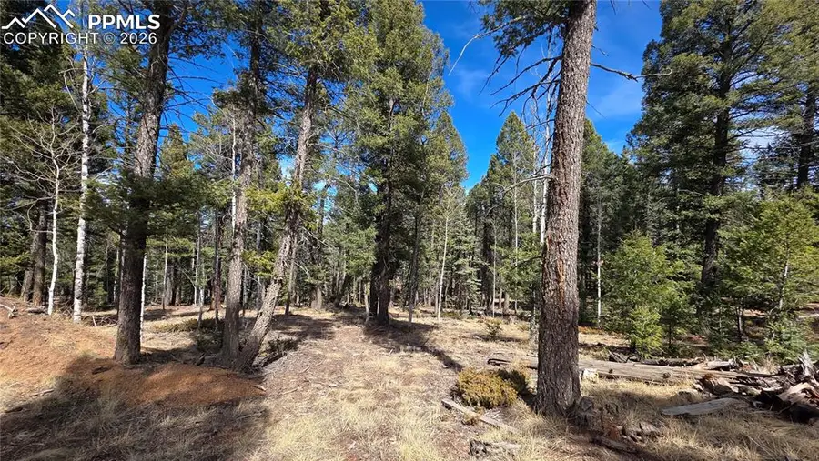 19 Serenity Circle, Florissant, CO 80816 - #2